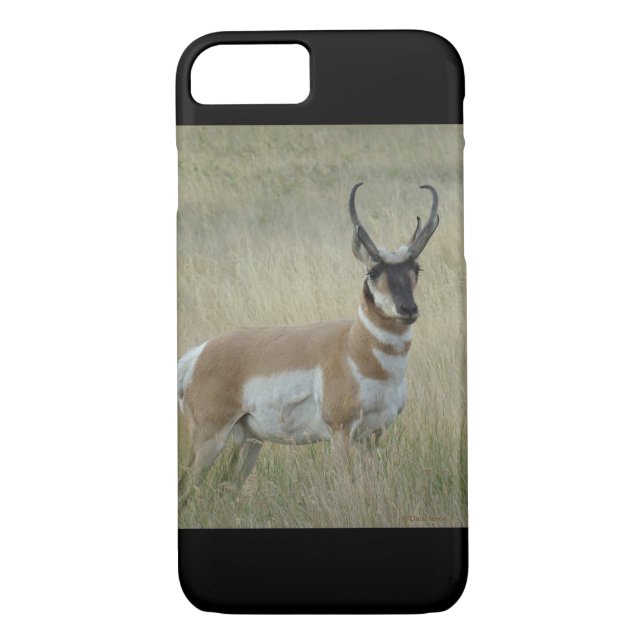 Funda De Case-Mate Para iPhone A8 Pronghorn Antelope Buck (Reverso)