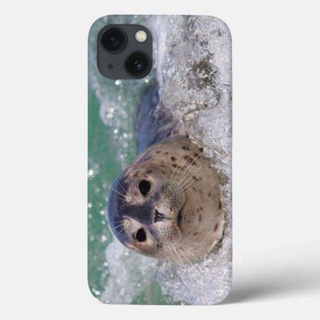 Funda De Case-Mate Para iPhone A baby seal surfing (Reverso)