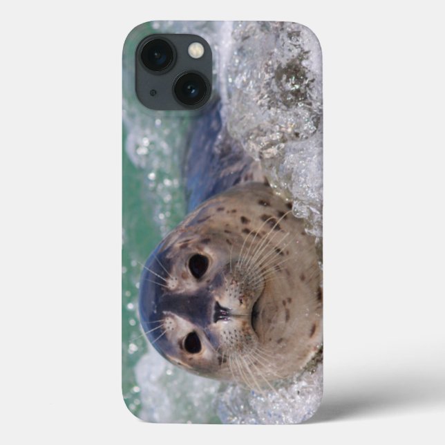 Funda De Case-Mate Para iPhone A baby seal surfing (Reverso)