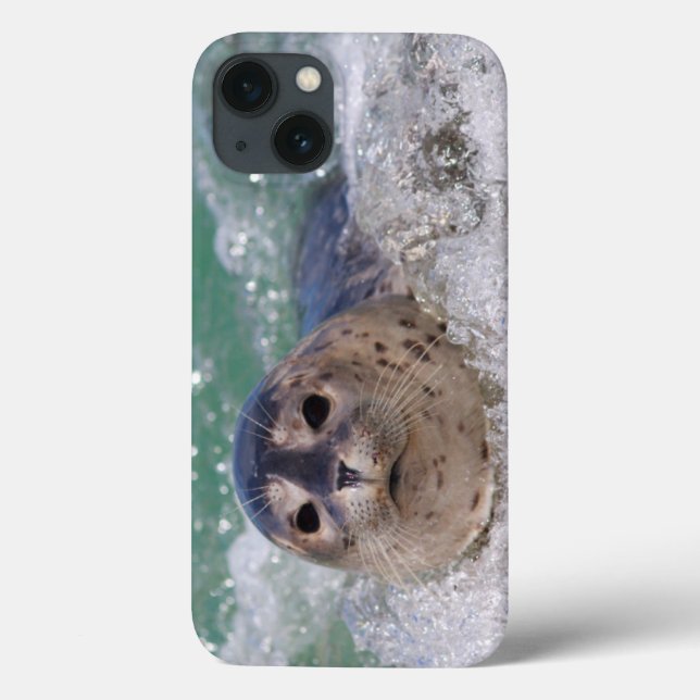 Funda De Case-Mate Para iPhone A baby seal surfing (Reverso)
