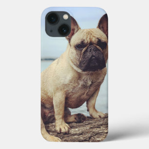 Funda Para iPhone 13 A French Bulldog