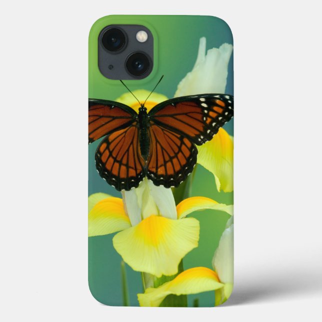 Funda De Case-Mate Para iPhone A Viceroy Butterfly on a Yellow Japanese Iris (Reverso)