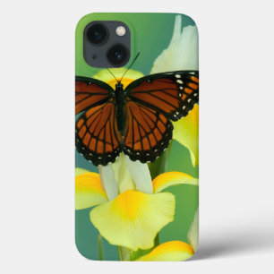 Funda Para iPhone 13 A Viceroy Butterfly on a Yellow Japanese Iris