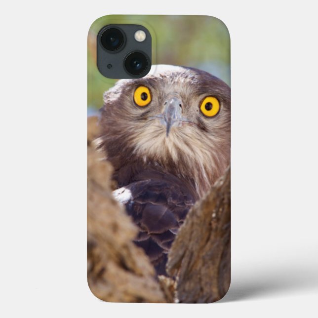 Funda De Case-Mate Para iPhone A White-breasted Snake Eagle (Reverso)
