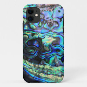 title_seo2 Abalone paua shell