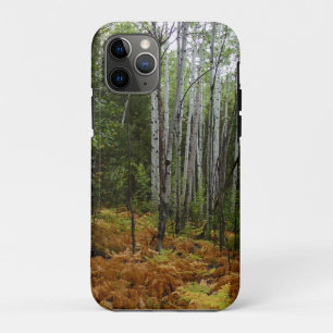 Funda Para iPhone 11 Pro Abedules y Helechos de Otoño en Rocky Mountain