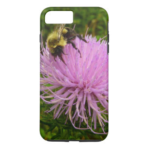 title_seo2 Abeja en Flor de Cardo Naturaleza