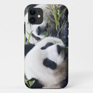 Funda Para iPhone 11 Abrazos de oso panda