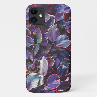 Funda Para iPhone 11 Acalypha Wilkesiana