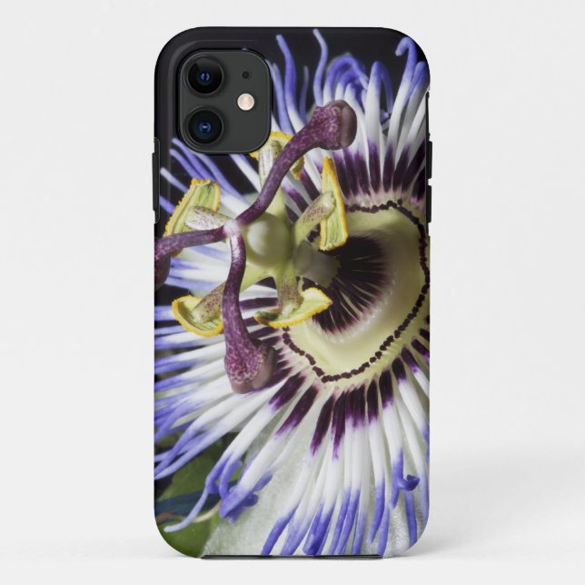 Funda De Case-Mate Para iPhone Acercamiento de las flores de pasión (MR) (Reverso)