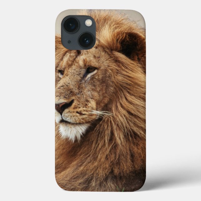 Funda De Case-Mate Para iPhone Acercamiento del león masculino (Reverso)