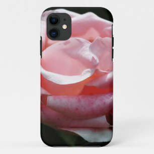 title_seo2 Acercamiento rosa