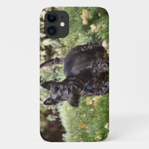 Funda Para iPhone 11 Ach