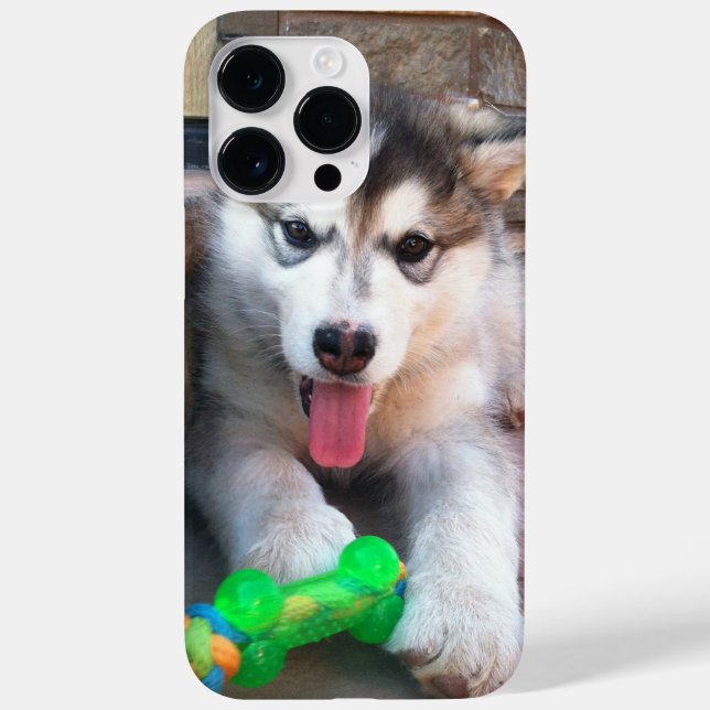 Funda De Case-Mate Para iPhone Adorable cachorro Alaskan Malamute Fotografía (Reverso)