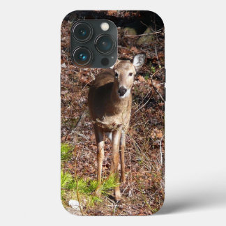 Funda Para iPhone 13 Pro Adorable ciervo en la fotografía natural de Woods
