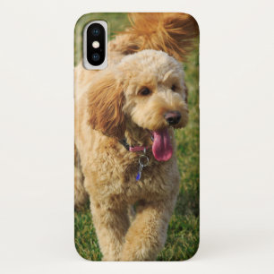 Funda Para iPhone X Adorable perro dordendoodle