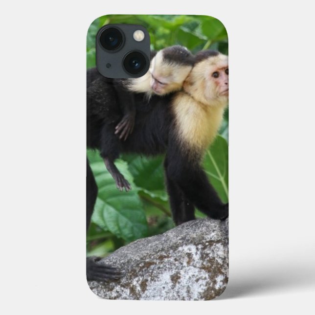 Funda De Case-Mate Para iPhone Adult Capuchin Monkey Carrying Baby On Its Back (Reverso)