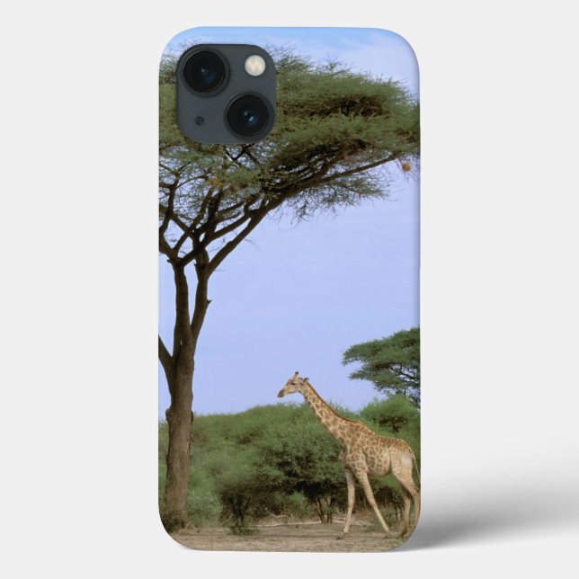 Funda De Case-Mate Para iPhone África, Botswana, delta de Okavango. Meridional (Reverso)