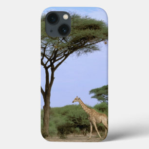 Funda Para iPhone 13 África, Botswana, delta de Okavango. Meridional