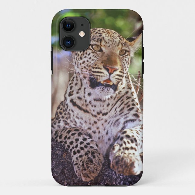 Funda De Case-Mate Para iPhone África, Botswana, Delta Okvango, leopardo salvaje. (Reverso)