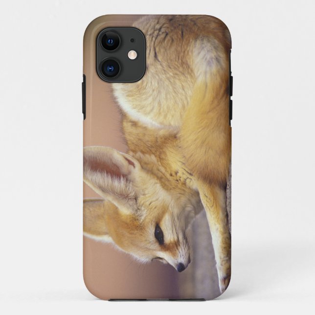 Funda De Case-Mate Para iPhone África del Norte. Fennec Fennecus zerda) (Reverso)
