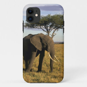 Funda Para iPhone 11 África, Kenia, Maasai Mara. Un elefante en el