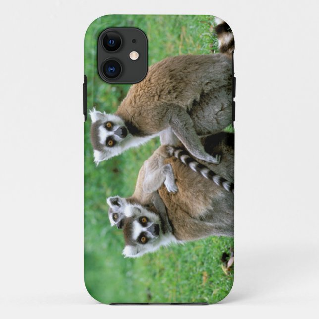 Funda De Case-Mate Para iPhone África, Madagascar, Antananarivo, Tsimbazaza (Reverso)