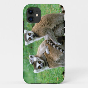 Funda Para iPhone 11 África, Madagascar, Antananarivo, Tsimbazaza