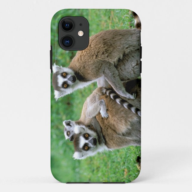 Funda De Case-Mate Para iPhone África, Madagascar, Antananarivo, Tsimbazaza (Reverso)