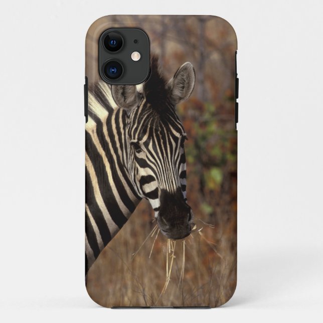 Funda De Case-Mate Para iPhone África, Sudáfrica, retrato de cebra Kruger NP (Reverso)