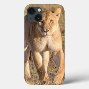 Funda Para iPhone 13 África, Tanzania, Serengeti. León y leona