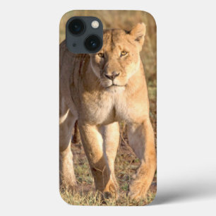 title_seo2 Africa, Tanzania, Serengeti. Lion And Lioness