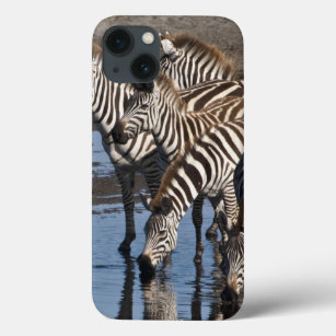 Funda Para iPhone 13 África. Tanzania. Zebras bebiendo en Ndutu en
