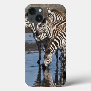 Funda Para iPhone 13 África. Tanzania. Zebras bebiendo en Ndutu en