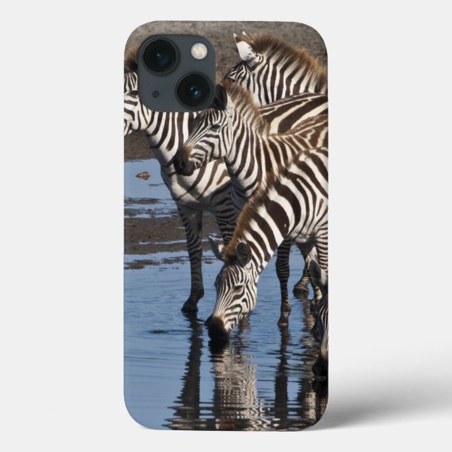 Funda De Case-Mate Para iPhone África. Tanzania. Zebras bebiendo en Ndutu en (Reverso)