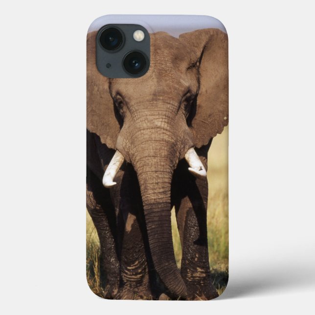 Funda De Case-Mate Para iPhone African Bush Elephant (Reverso)