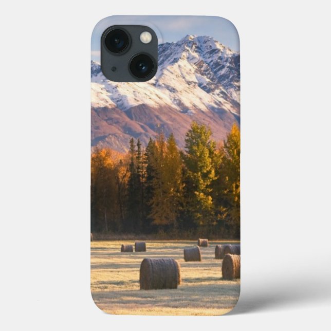 Funda De Case-Mate Para iPhone Agricultura de Alaska (Reverso)