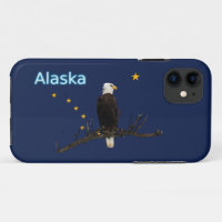 Águila Alaska Y Bandera