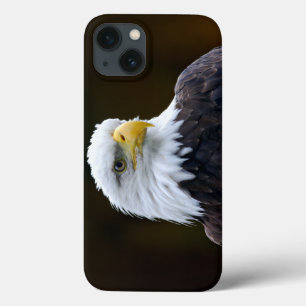 Funda Para iPhone 13 Águila calva americana
