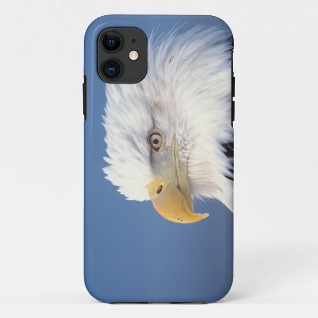 Funda De Case-Mate Para iPhone águila calva, Haliaeetus leuccocephalus, (Reverso)