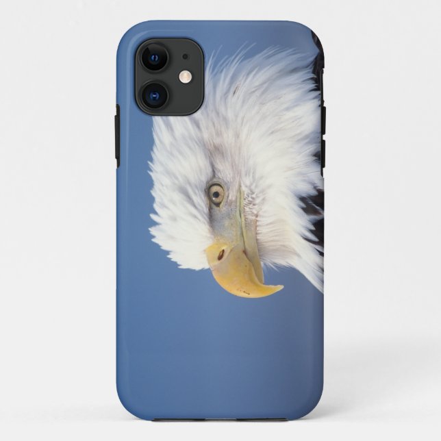 Funda De Case-Mate Para iPhone águila calva, Haliaeetus leuccocephalus, (Reverso)