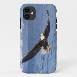 Funda Para iPhone 11 águila calva, Haliaeetus leucocephalus, en vuelo 4