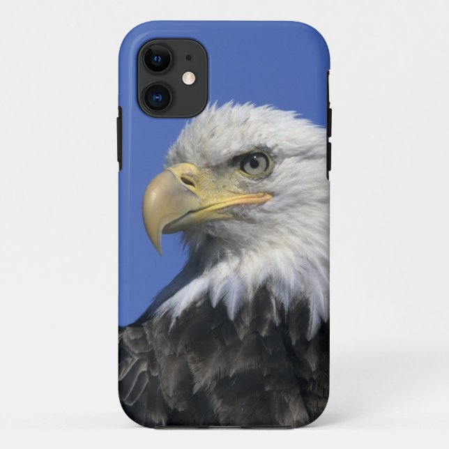 Funda De Case-Mate Para iPhone Águila calva, (Haliaeetus leucocephalus), salvaje, (Reverso)