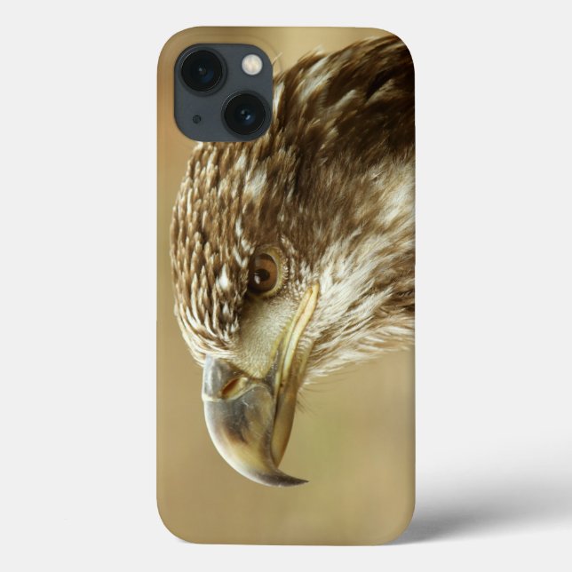 Funda De Case-Mate Para iPhone Águila calva inmadura (Reverso)