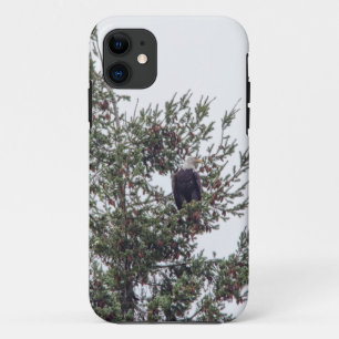 Funda Para iPhone 11 Águila calva P2825
