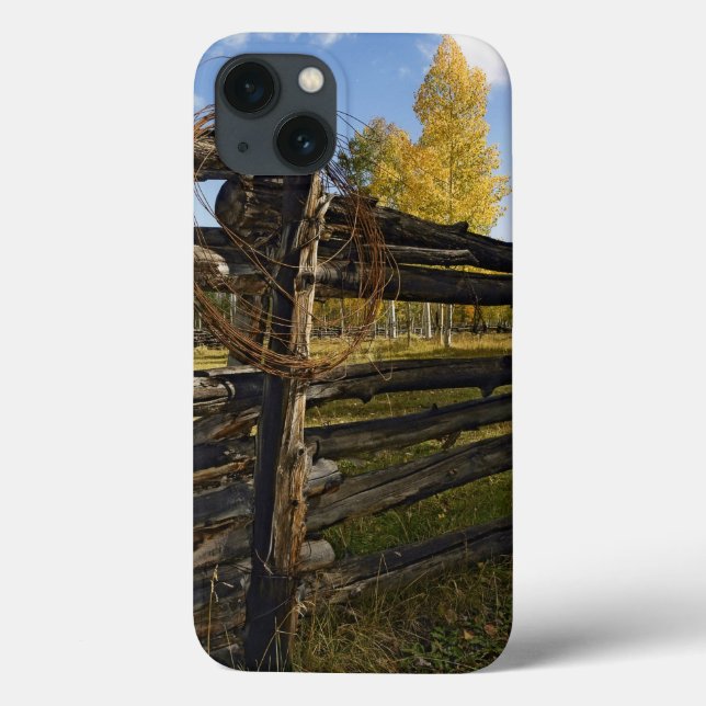 Funda De Case-Mate Para iPhone Alambre de púas (Reverso)