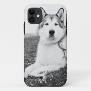 Funda Para iPhone 11 alaskan-malamute bw.png