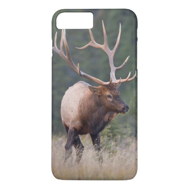 Funda De Case-Mate Para iPhone Alce de las Montañas Rocosas (Reverso)