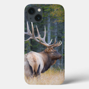 Funda Para iPhone 13 Alces de la montaña rocosa de Bull