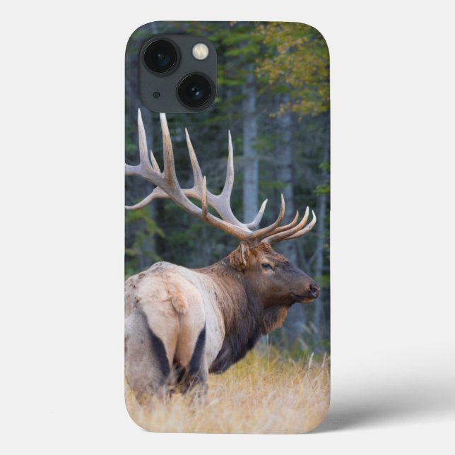 Funda De Case-Mate Para iPhone Alces de la montaña rocosa de Bull (Reverso)